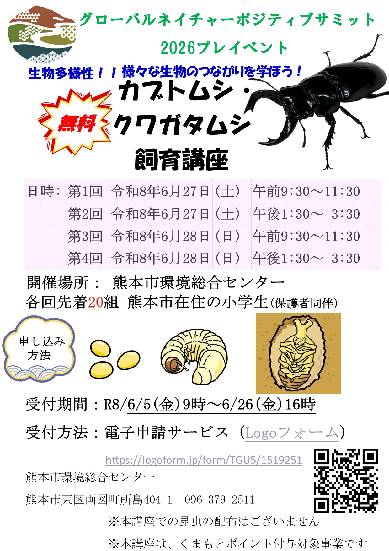 チラシ