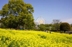 動植物園