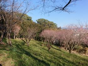 立田山憩の森