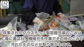 プラスチック製容器包装仕分け作業 プラスチック製容器包装仕分け作業