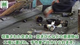 資源物仕分け作業 資源物仕分け作業