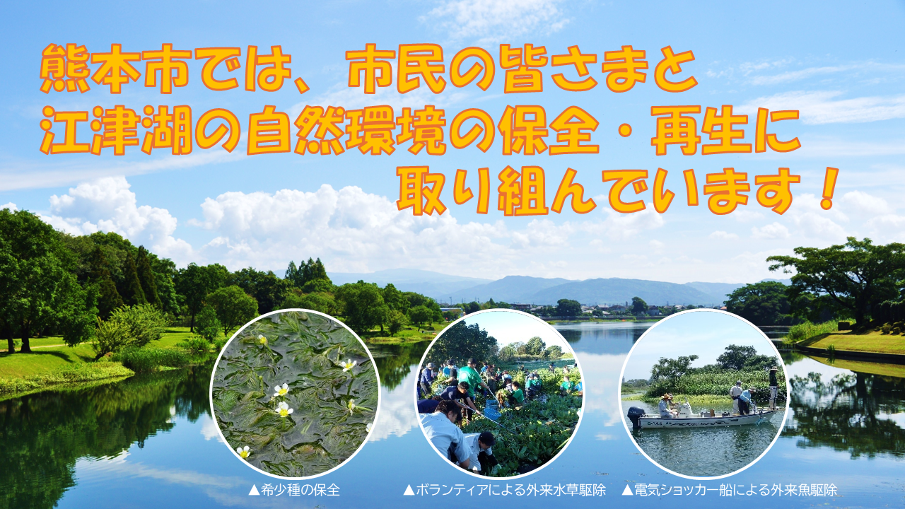 江津湖