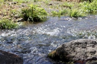 江津湖流れる水(2)