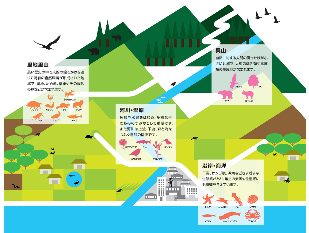 生態系の多様性 生態系の多様性