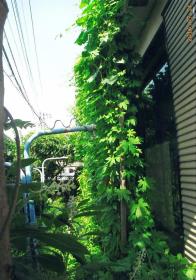 坂井　工夫