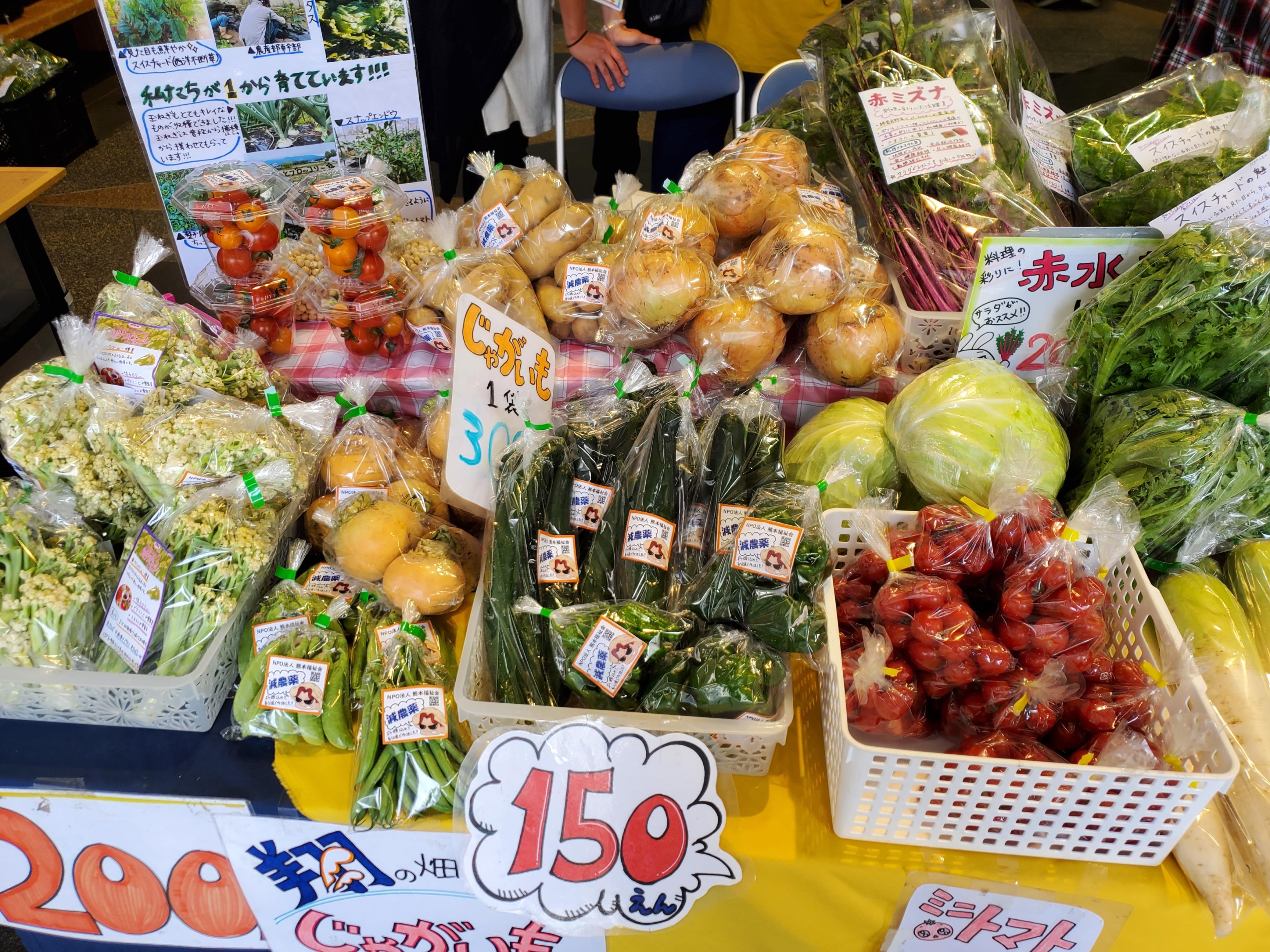 野菜の写真