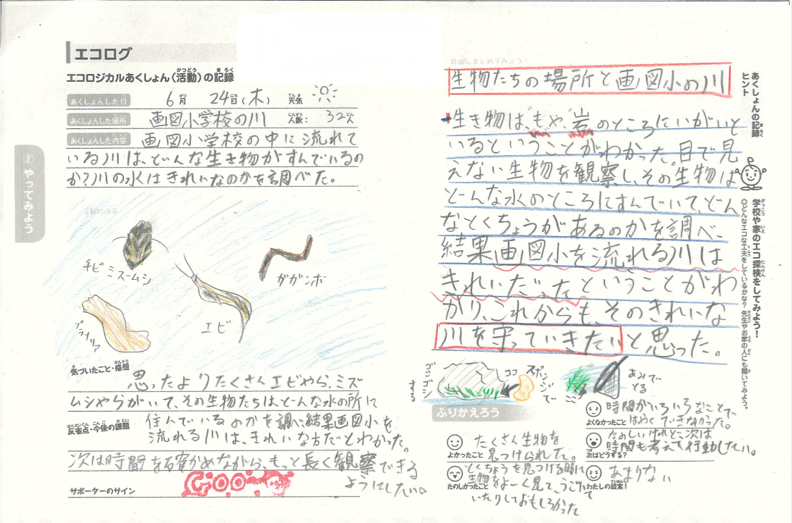 川の生き物 川の生き物