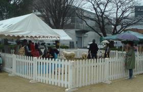 ふれあい動物園