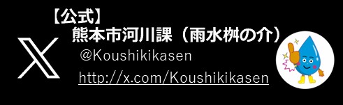 公式X