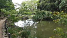 肥後細川庭園（東京事務所職員撮影）