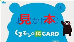 （※おでかけICカード(1)（障がい者用）の見本）