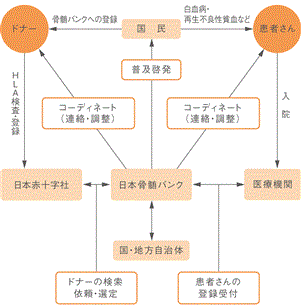 新体系図