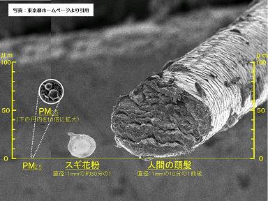 M2.5の電子顕微鏡写真 M2.5の電子顕微鏡写真