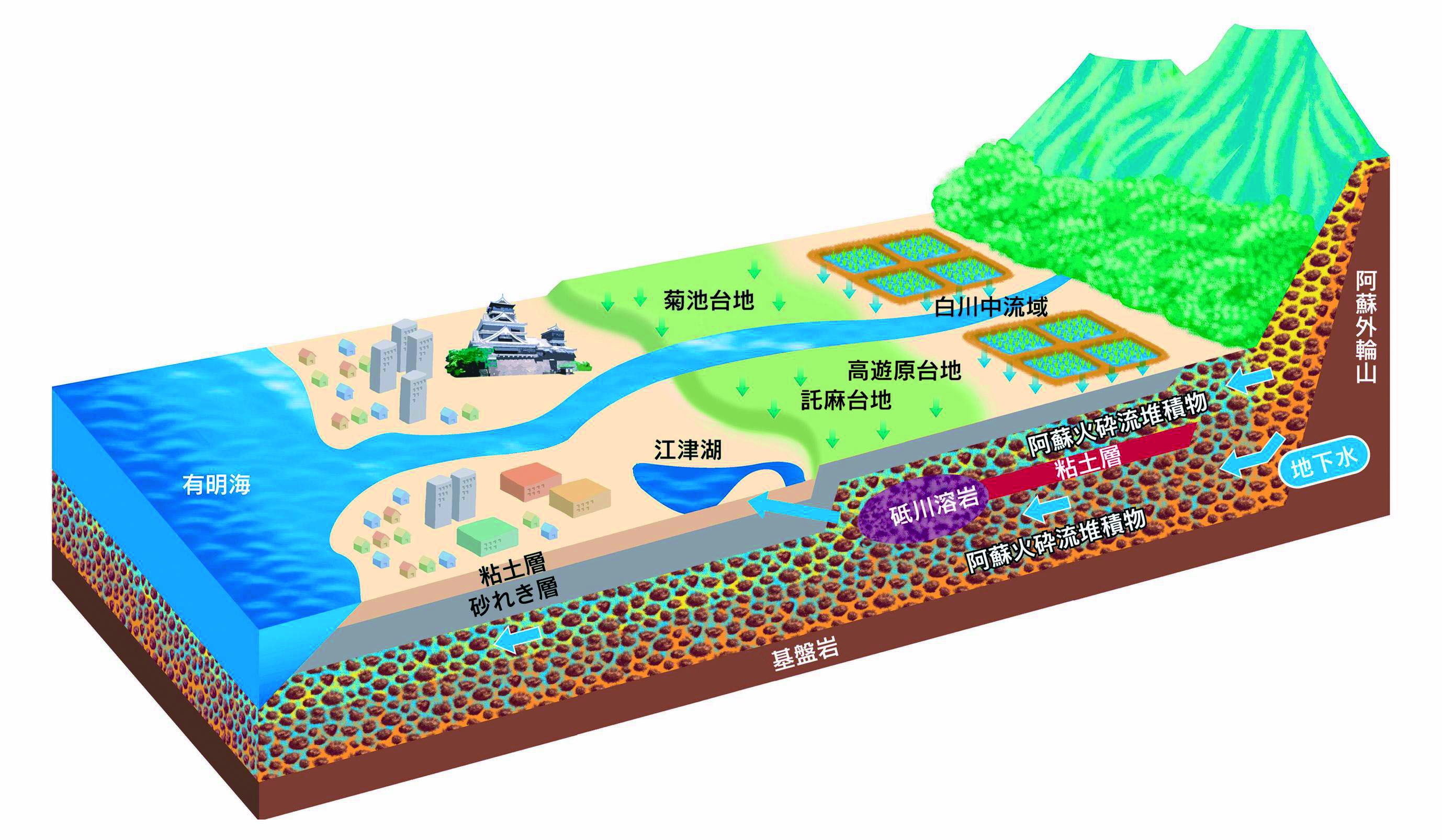 システム図