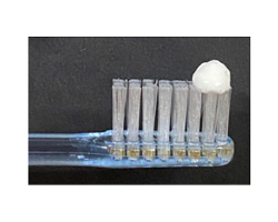 グリンピース程度の歯みがき剤の量の写真