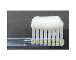 歯ブラシ全体にのせた歯みがき剤の量の写真