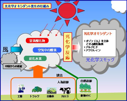 光化学スモッグ発生の構造