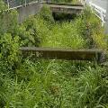 河川の損傷など