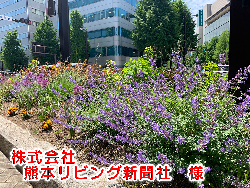 リビング写真 リビング写真