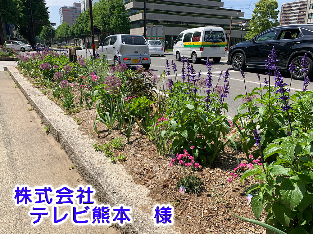 TKU写真 TKU写真