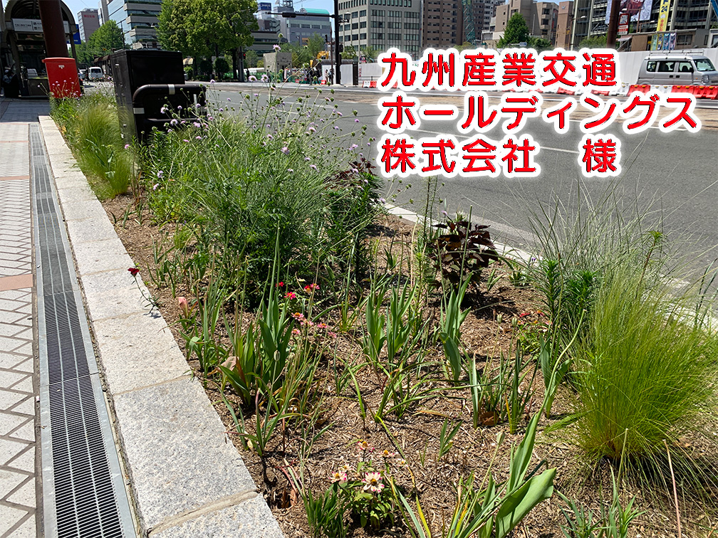 九産交写真 九産交写真