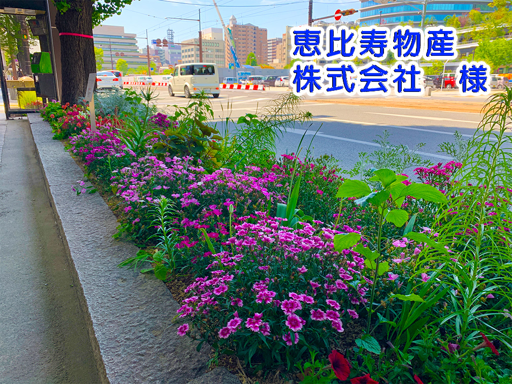 恵比寿物産写真 恵比寿物産写真