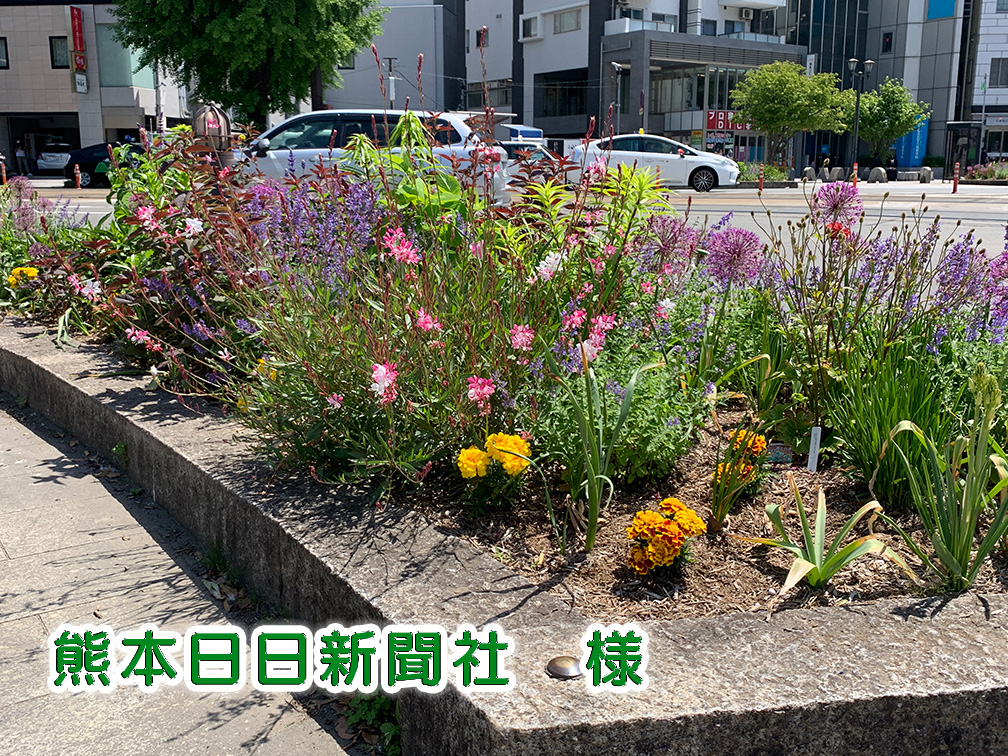 くまにち写真 くまにち写真