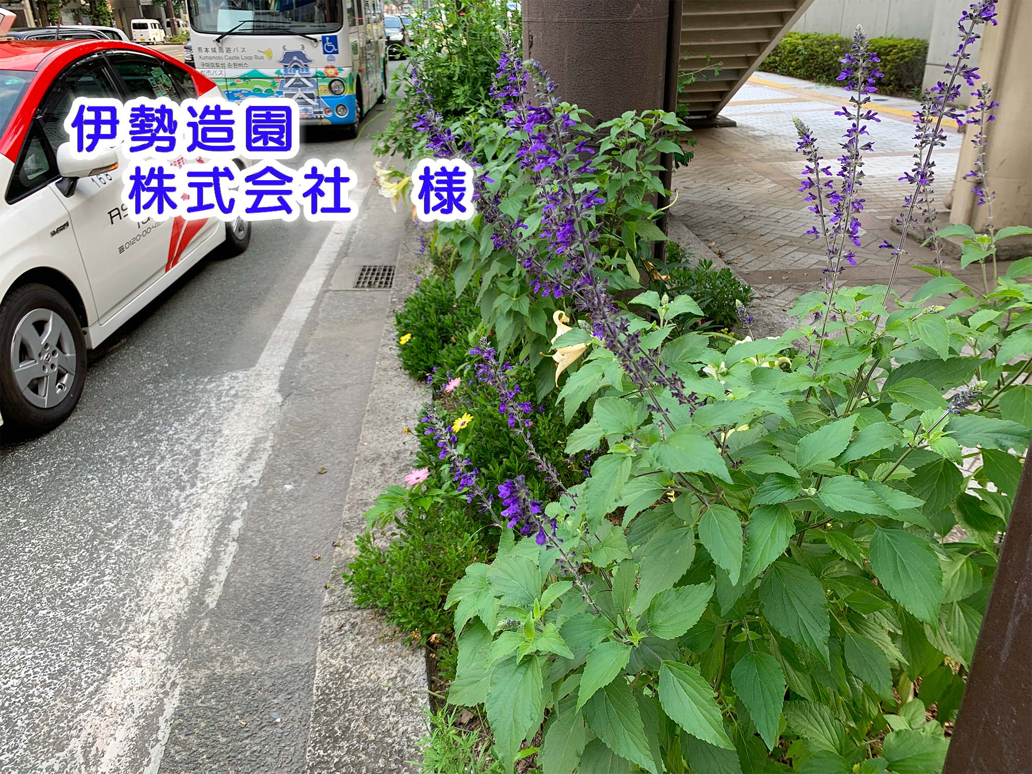 伊勢造園建設花壇 伊勢造園建設花壇