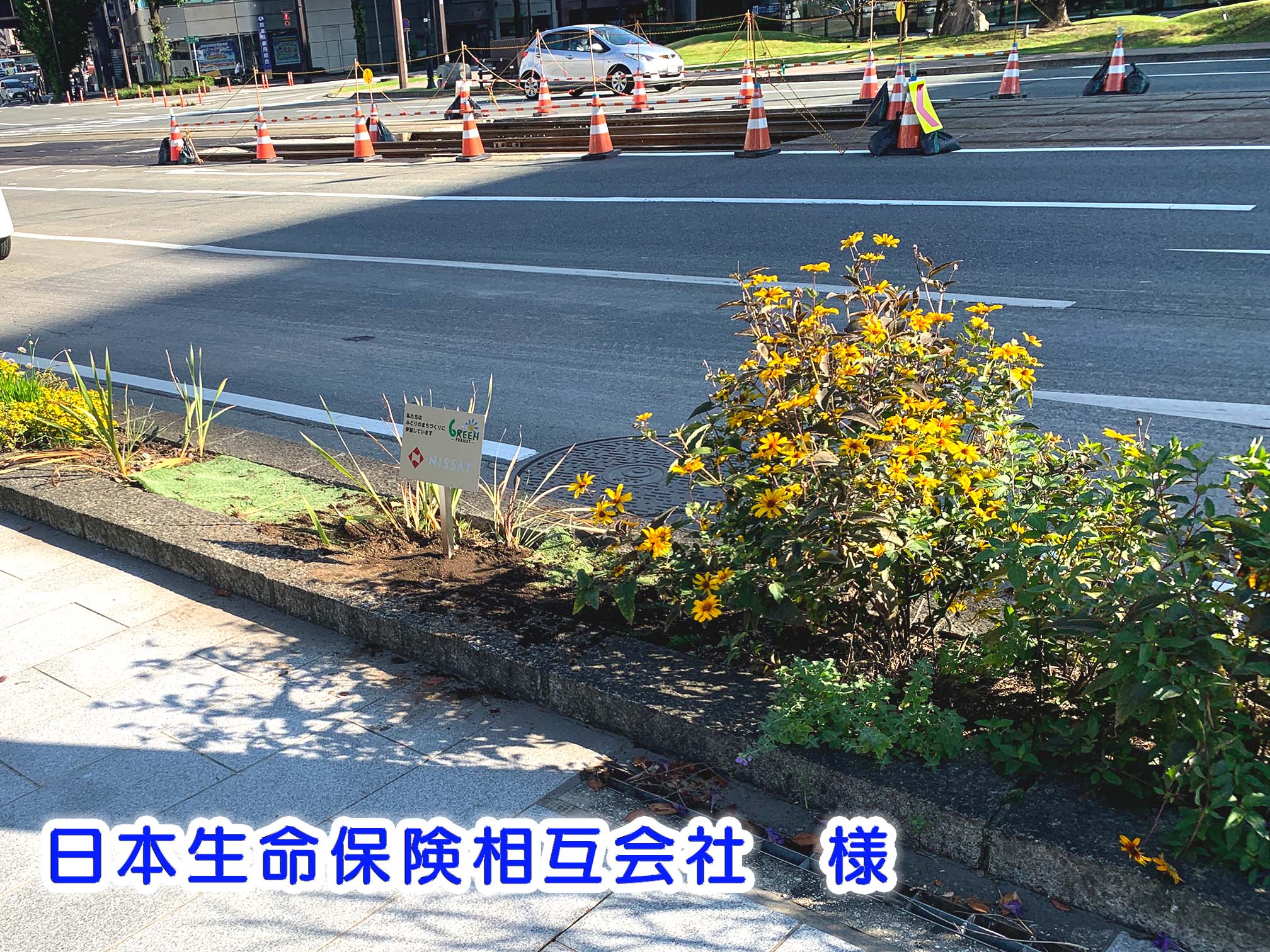 日本生命 日本生命