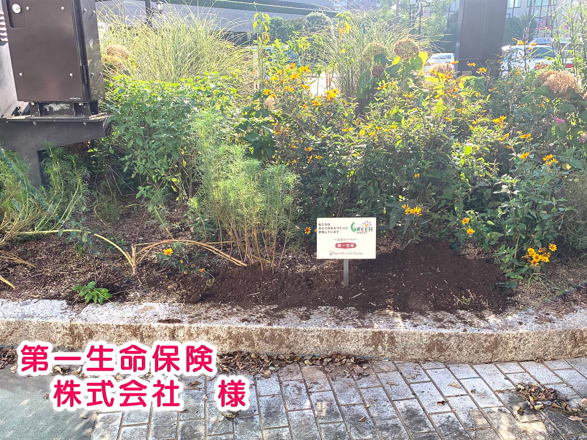 第一生命 第一生命