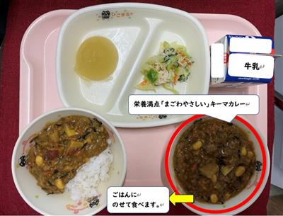 まごわやさしいキーマカレー