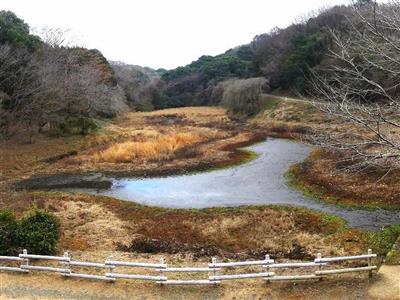 トンボ池の枯渇