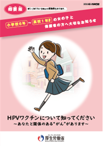 概要版