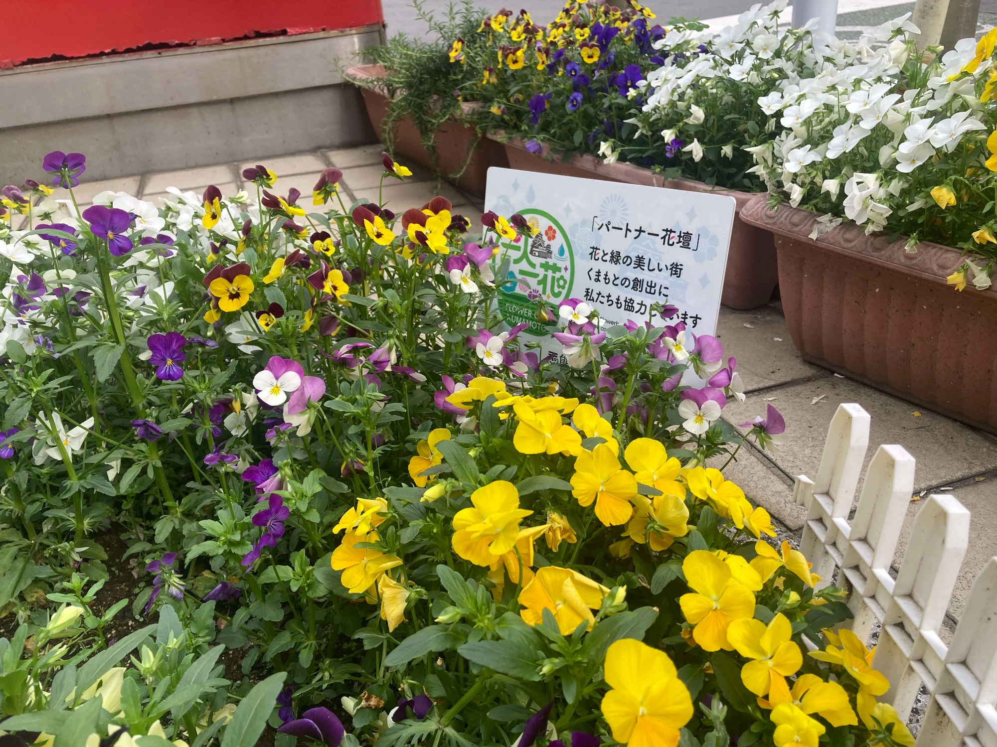 パートナー花壇(郵便局)
