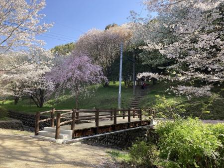 木橋1 木橋1