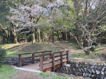 木橋2 木橋2