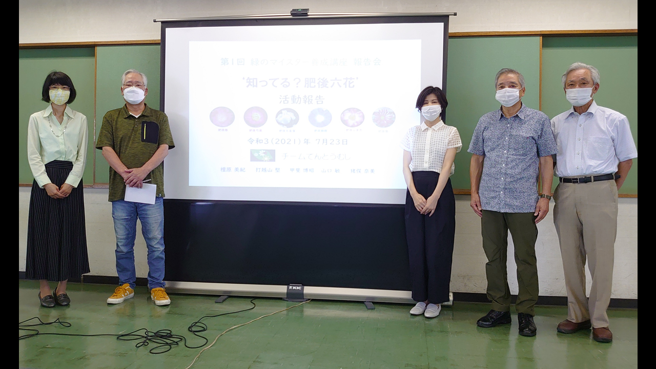 サムネイル(てんとうむし) サムネイル(てんとうむし)