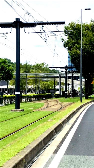 熊本駅前(1)