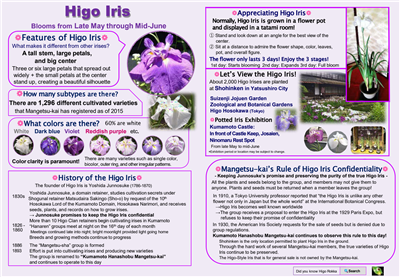 肥後花菖蒲（2025年）英語版リーフレット(1)