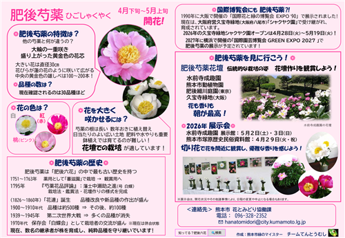 肥後芍薬（日本語版）1
