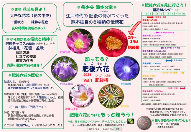 知ってる肥後六花vol1（肥後椿）