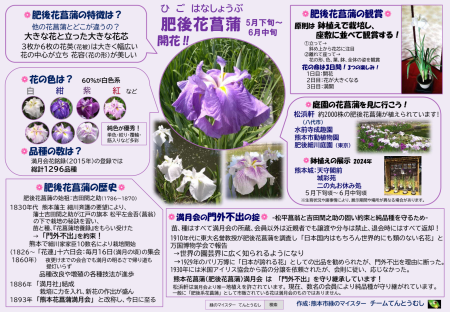 肥後花菖蒲（日本語版）