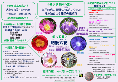 肥後花菖蒲