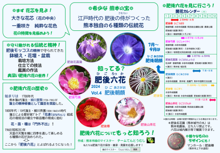 肥後朝顔1（日本語版）