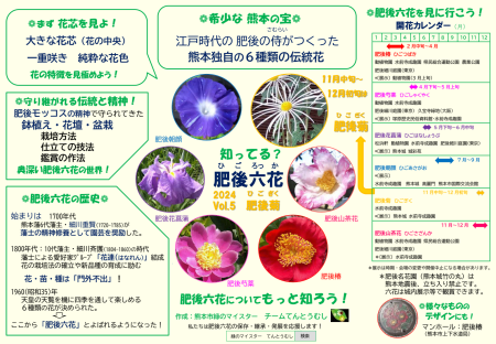 肥後菊01