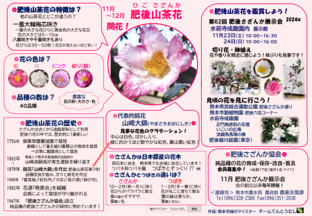 肥後山茶花02