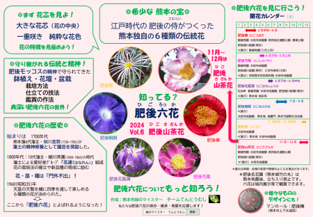 肥後山茶花01