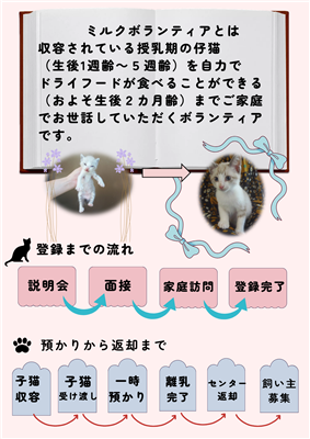 子猫のミルクボランティア募集（裏）