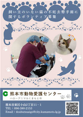 飼い主のいない猫の不妊去勢手術支援ボランティア（表）