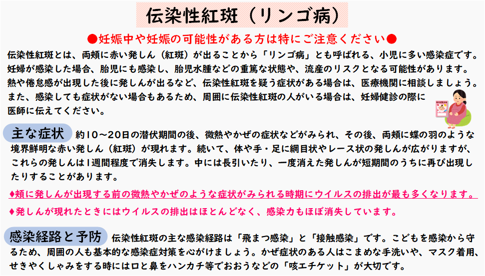 伝染性紅斑（リンゴ病）